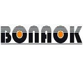 Best 4 Bonaok Wireless & Bluetooth Karaoke Microphone Review